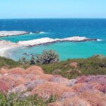 Blue Zones and the 9 keys to longevity | Greece